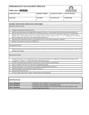 Performance Management Process Form