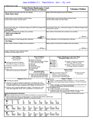US Bankruptcy Voluntary Petition