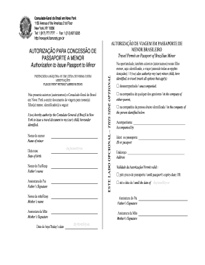 Authorization for Brazilian Minor Travel