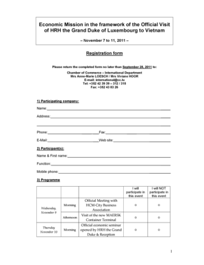 Form preview