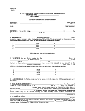 Consent Order for Child Support