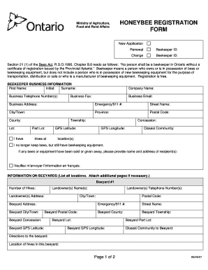 Form preview picture