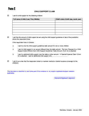 Child Support Claim Form