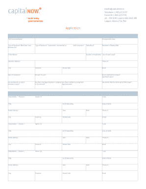 Business Loan Application Form