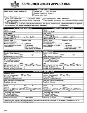 Consumer Credit Application