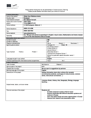 Form preview picture