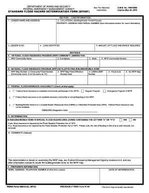 Form preview picture