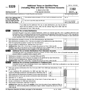 IRS Form 5329 (2002)