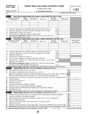 Form 1120S Schedule D Capital Gains and Losses