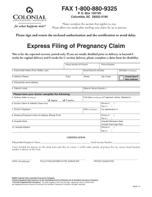 Pregnancy Claim Form