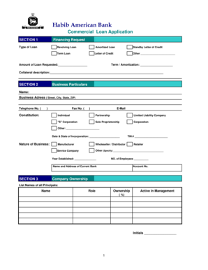 Commercial Loan Application