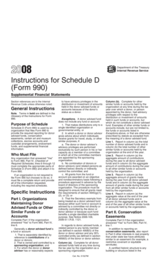 2008 Instructions for Schedule D (Form 990)