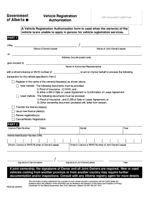 Vehicle Registration Authorization Form