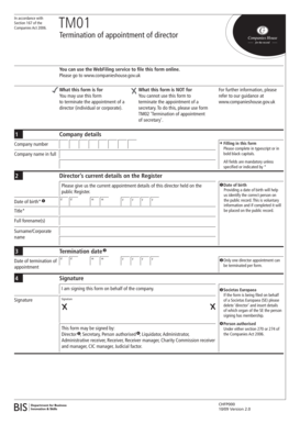 UK Director Termination Form TM01