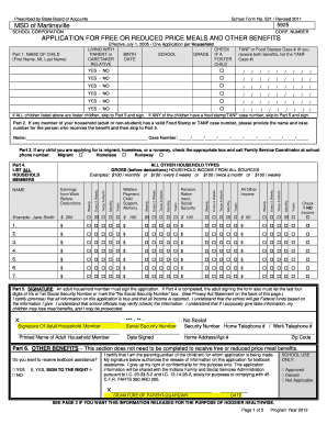 Form preview picture