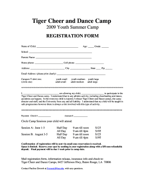 lsu tiger cheer and dance camp