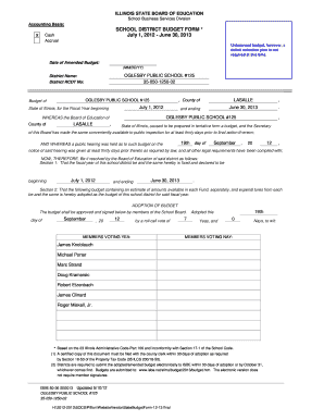 district 125 budget form
