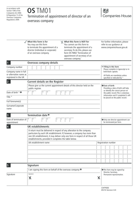 Termination of Appointment of Director of an Overseas Company