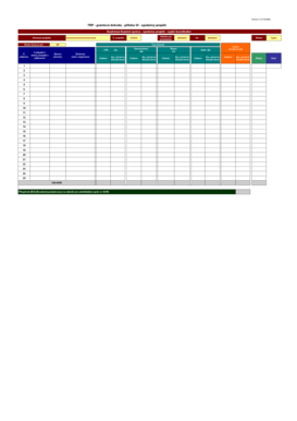 EU Grant Financial Report Form