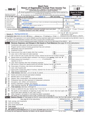 Form 990-EZ 2007