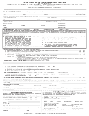 albany county civil service application