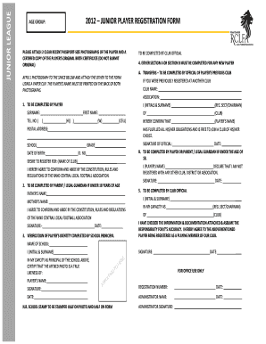 Form preview picture