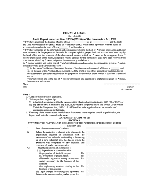 Form 3AE Audit Report