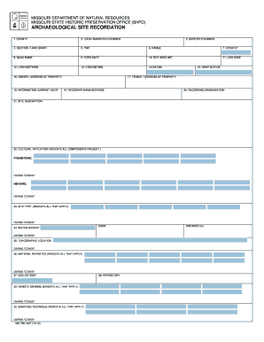 Form preview picture