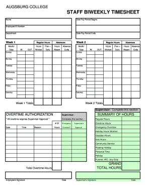 Staff Biweekly Timesheet