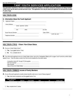TANF Youth Services Application