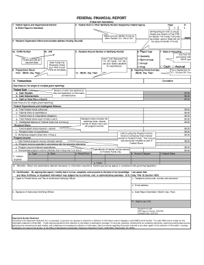 Federal Financial Report Form