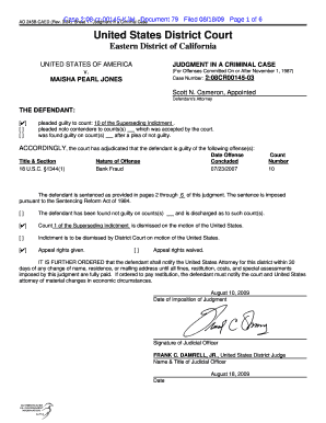 US Federal Criminal Case Judgment