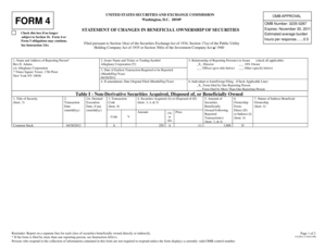 Form 4 Statement of Changes in Beneficial Ownership