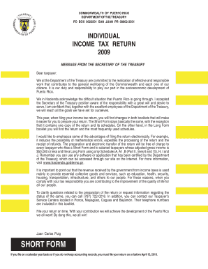 Puerto Rico Individual Income Tax Return 2009