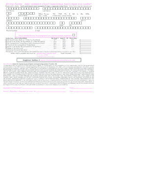 2007 Komen Chattanooga Race for the Cure Entry Form