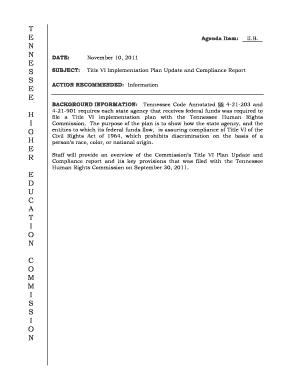 title vi implementation plan simple form