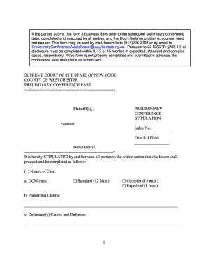 New York Preliminary Conference Stipulation