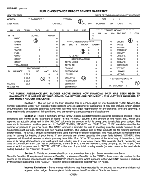 New York Public Assistance Budget Form