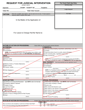 Request for Judicial Intervention Form