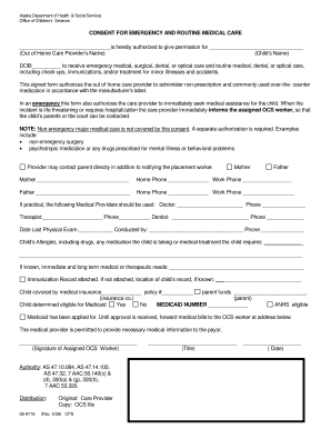 Alaska Emergency and Routine Medical Care Consent
