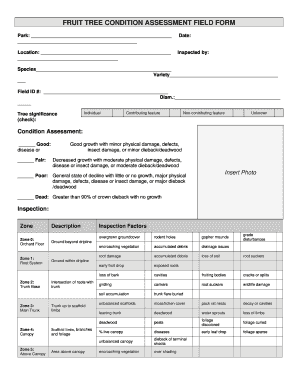 Form preview picture