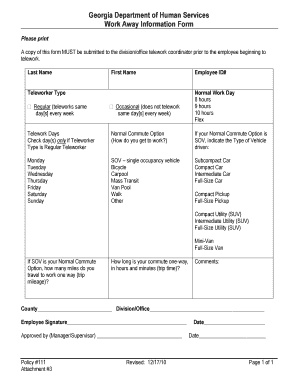 Georgia Telework Information Form