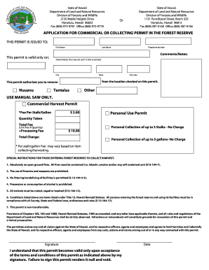 Form preview picture