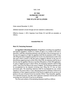 Illinois Supreme Court Docketing Statement