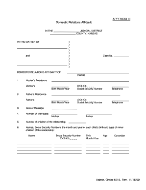 Admin. Order #216, Rev. 11/16/09 APPENDIX III Domestic Relations ... - kscourts