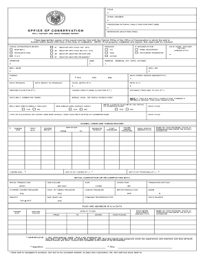 Well History and Work Resume Report