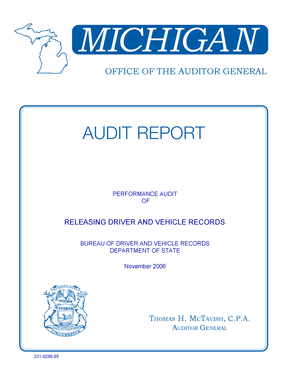 It audit report sample pdf - RS 231029005.doc - audgen michigan