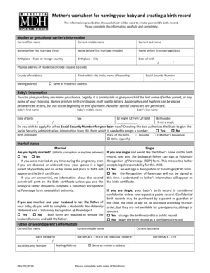 Birth Record Worksheet