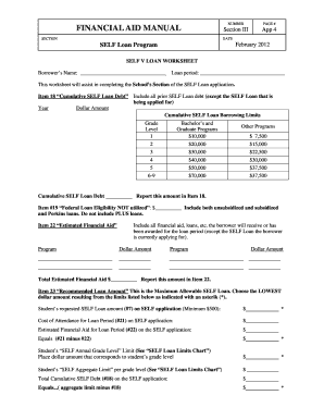 SELF Loan Worksheet