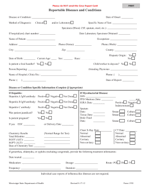 Form preview picture